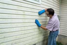 Best Custom Trim and Detailing for Siding  in Gibson City, IL